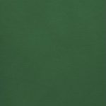racing-green / ≅ Pantone 3425U / Farb-Nr. 309