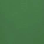 tannengrün / ≅ Pantone 348U / Farb-Nr. 339