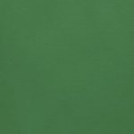 fir green / ≅ Pantone 348U / Nr. 339